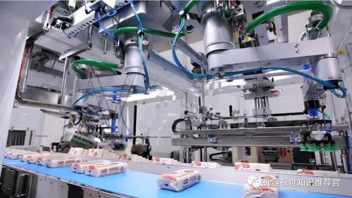 機器視覺在食品安全檢測領域的應用與展望