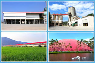 海螺 讓綠色成為發展主色調，環保節能技術開發的探索與實踐